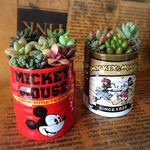 ミッキー缶✴︎多肉寄植え