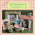 0315mkmk様ご注文品6点