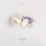 barrette "sea" 0701