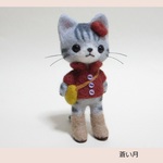 アメショーちゃんのお出かけ