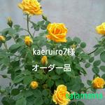 kaeruiro7様オーダー品