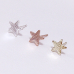 ＊小さなstarピアス＊
