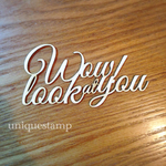 【12月新作】Wow! look at you!/わぉ！へんな顔よみて！