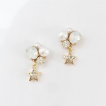 ⛄️️White Snow×ピアス(イヤリング)⛄️️