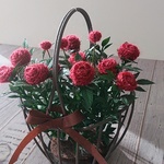 モヘアの薔薇：赤
