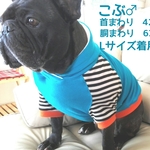 犬服★オーダー可　ラグランパーカー　フレブル