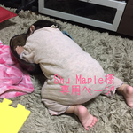 台紙セット