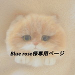 Blue rose様専用ページ