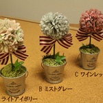 ★ミニミニトピアリー（高さ12ｃｍ）★(選択A～C）