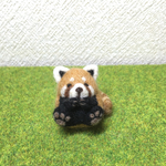 コロコロおすわりレッサーパンダさん