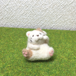 コロコロおすわりネコさん