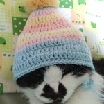 ◎ラビットボールつき大きいとんがりぼうし☆パステルカラー☆クロムイエロー☆一点もの！☆ネコぼうし☆猫ねこ帽子☆肉球ボタンつき☆