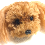 ふわふわわんこ♡  トイプードル 動物ぽんぽん