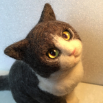 オーダー猫
