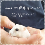 yomogi124様専用ページ