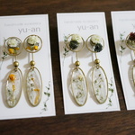 かすみ草ドライフラワーピアス*2way
