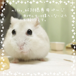 milky_bf30様専用ページ