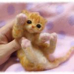 おねがいにゃんこＮｏ．2