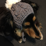 犬用ニット帽 
