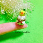 ㊗️鏡餅の上からこんにちは🐥(ヒヨコです)