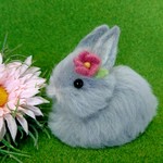 まんまる花うさぎ (ネザー・シルバーグレー)   