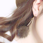 ˚✧₊⁎ファードロップフレームイヤリング⁎⁺˳✧༚