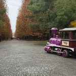 akkywaka様 専用ページ