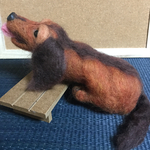 ご飯まだ？ミニチュアダックス