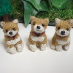 犬　mari様ご注文品　柴犬仔犬３点