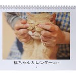 【送料込み】福ちゃんカレンダー2017