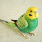 セキセイインコ　オパーリン緑色　オス　1611283
