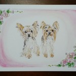 【ひよこ様オーダー品】愛犬イラスト