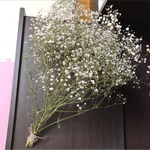 ドライフラワーかすみ草☆ボリュームスワッグ