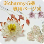 ※chaymy-5様オーダーページ※
