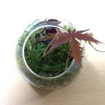 pacovrei様オーダー品