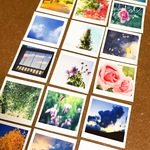 ポラロイドとスクエア写真を融合させた18枚の小さい写真 フィルム写真シリーズ3