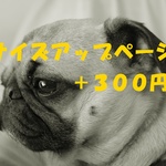 サイズアップページ　胴回り 53㎝～59㎝