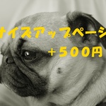サイズアップページ　５００円