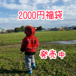 先取り福袋　2000円袋