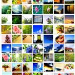 全77種類*透きとーる四角の写真シール2