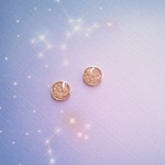 海辺の星ピアス／イヤリング