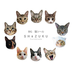 BIG 猫シール 2枚セット
