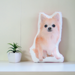 犬　猫　ペット　動物　チワワ　クッション　ぬいぐるみ　インテリア　メモリアル　プレゼント　オーダーメイド　画像　写真　名前　無地Bn