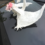 色塗りドラゴン