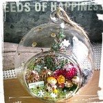ガラステラリウム✴星✴降るクリスマス