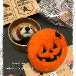 オーダーメイド ちっさいレッサーパンダのブローチ✴︎chifwa1127さま✴︎