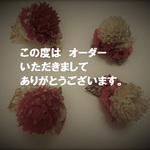 altelioz187さま専用ページ