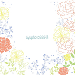 ayuphoto888様