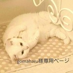 gomaharu様専用ページです。ベルベットリボンとミンクファーのEarring