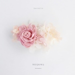 barrette " sweet summer " 0713